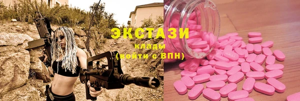 шишки Горняк